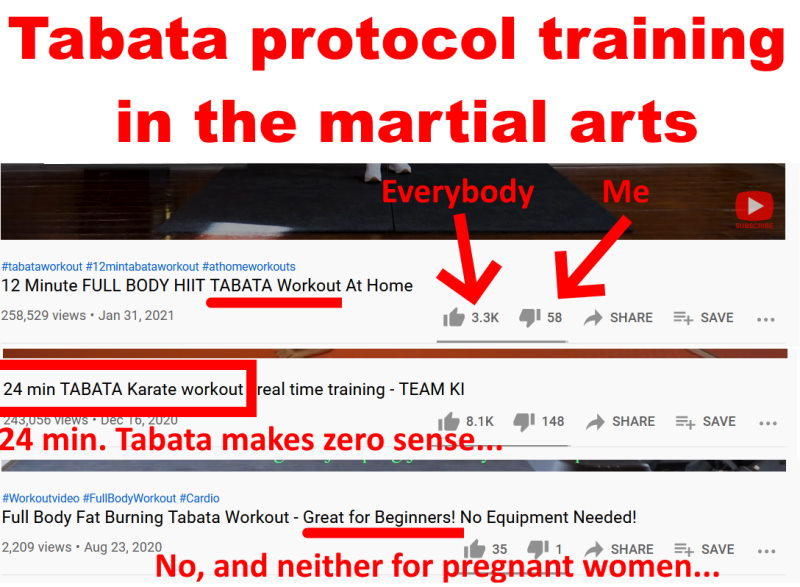Tabata protocol training in the martial arts